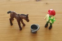 Playmobil 4647 Junge mit Fohlen, vollst. Bauernhof *TOP-Zustand* Rheinland-Pfalz - Meckenheim Vorschau