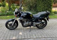 Kawasaki ER-5 Niedersachsen - Leer (Ostfriesland) Vorschau