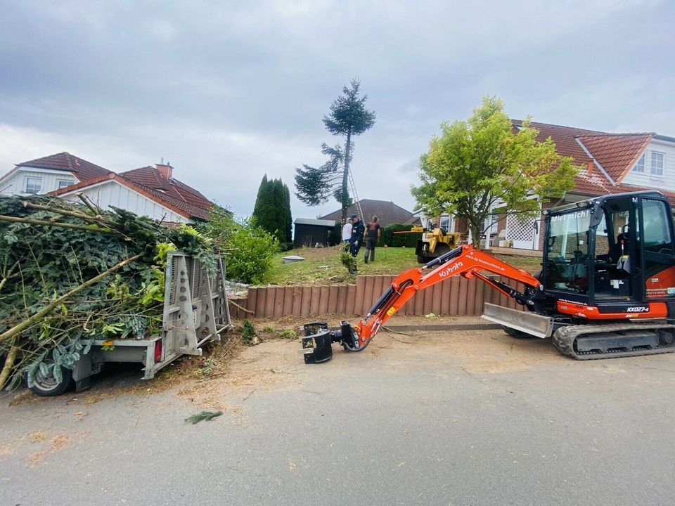 ✔ Kegelspalter Holzspalter Minibagger mieten leihen Vermieten in Rinteln