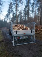 Anhänger für Brennholz, Feuerholz, Kaminholz, Holz zu vermieten Sachsen - Reinsdorf Vorschau