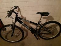 Avigo Stone Mountain-Bike 26" Nordrhein-Westfalen - Moers Vorschau