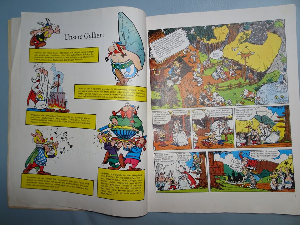 Grosser Asterix Band VII in Kupferzell