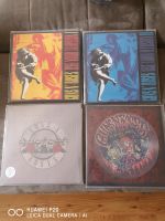 Guns N Roses Schallplatten Vinyl lps lp Schallplattensammlung Hessen - Hasselroth Vorschau