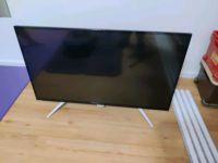 Philips BDM4350 43 Zoll 4K Monitor Rheinland-Pfalz - Hördt Vorschau