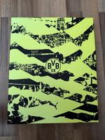 BVB Sondertrikot (Neon) Größe S Bayern - Niederrieden Vorschau