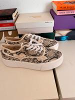 Schuhe Gr. 41 Innenstadt - Köln Altstadt Vorschau