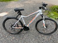 GIANT Damen Mountainbike weiß Hessen - Eschwege Vorschau