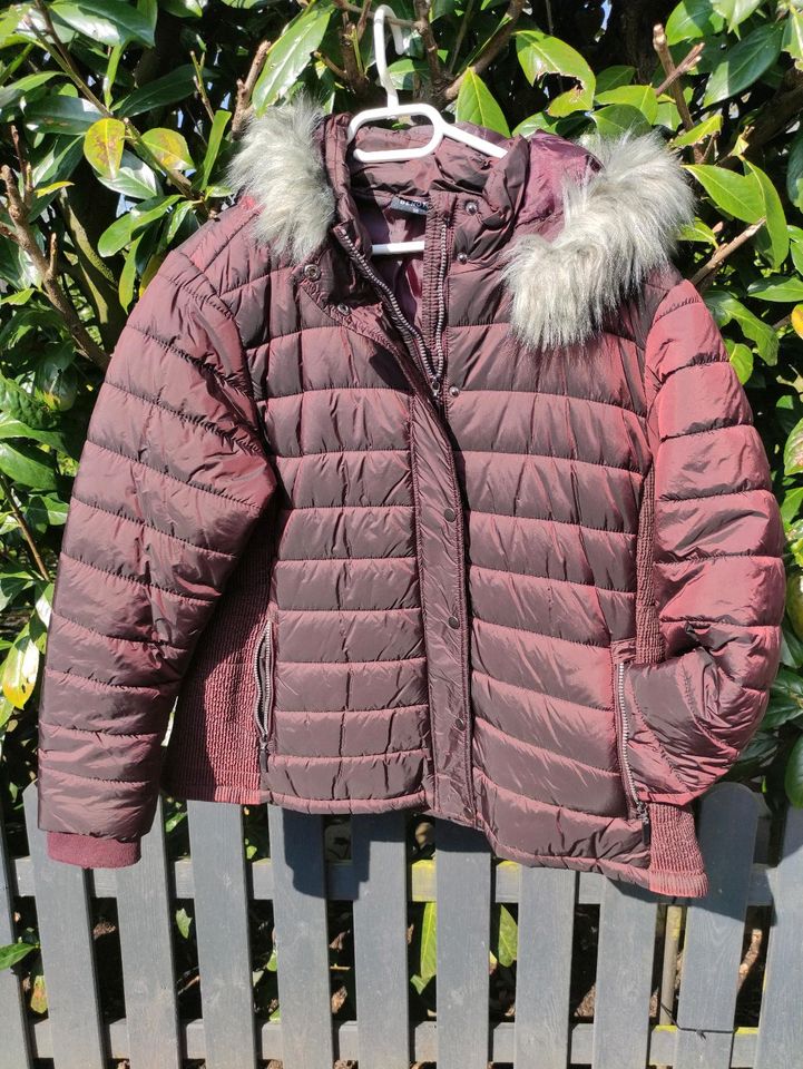 Winterjacke♥️ Gina Benotti♥️NEU ♥️Gr.50♥️ in Hechthausen