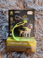 Hunde LED Flash Light Leine neongelb USB Sachsen-Anhalt - Blankenburg (Harz) Vorschau