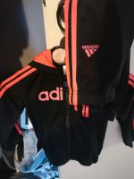 Adidas Jogger top Nordrhein-Westfalen - Rheine Vorschau