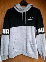 Puma Herren Hoodie Pullover Gr. L Sachsen - St. Egidien Vorschau