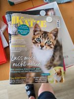 Katzen Zeitschriften Bielefeld - Bielefeld (Innenstadt) Vorschau