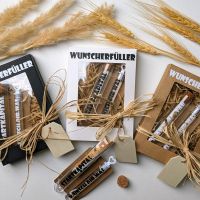 Geschenkidee Wunscherfüller für Geldgeschenke Sachsen - Großolbersdorf Vorschau