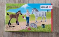 Schleich 42486 Arztbesuch bei Pfers und Fohlen Nordrhein-Westfalen - Wachtendonk Vorschau