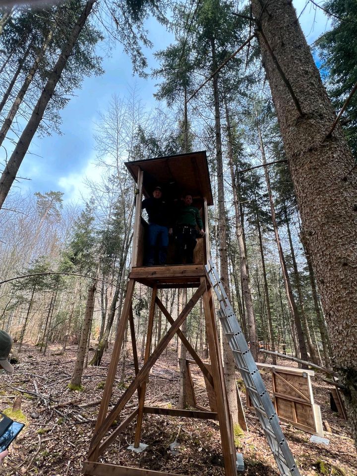 Jägerstand Hochsitz in Gosheim