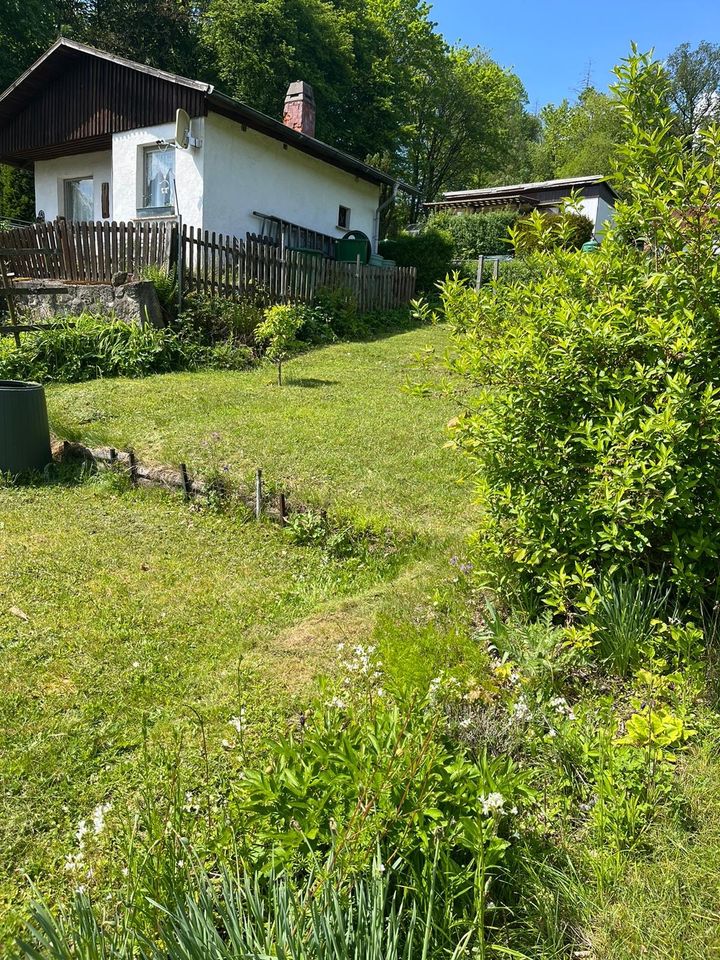 Pachtgarten in Seebach in Seebach