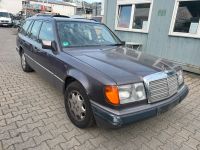 Mercedes W124 T 230 TE Schlachtfest Farbe 481 Teile KFZ Nordrhein-Westfalen - Köln Vogelsang Vorschau