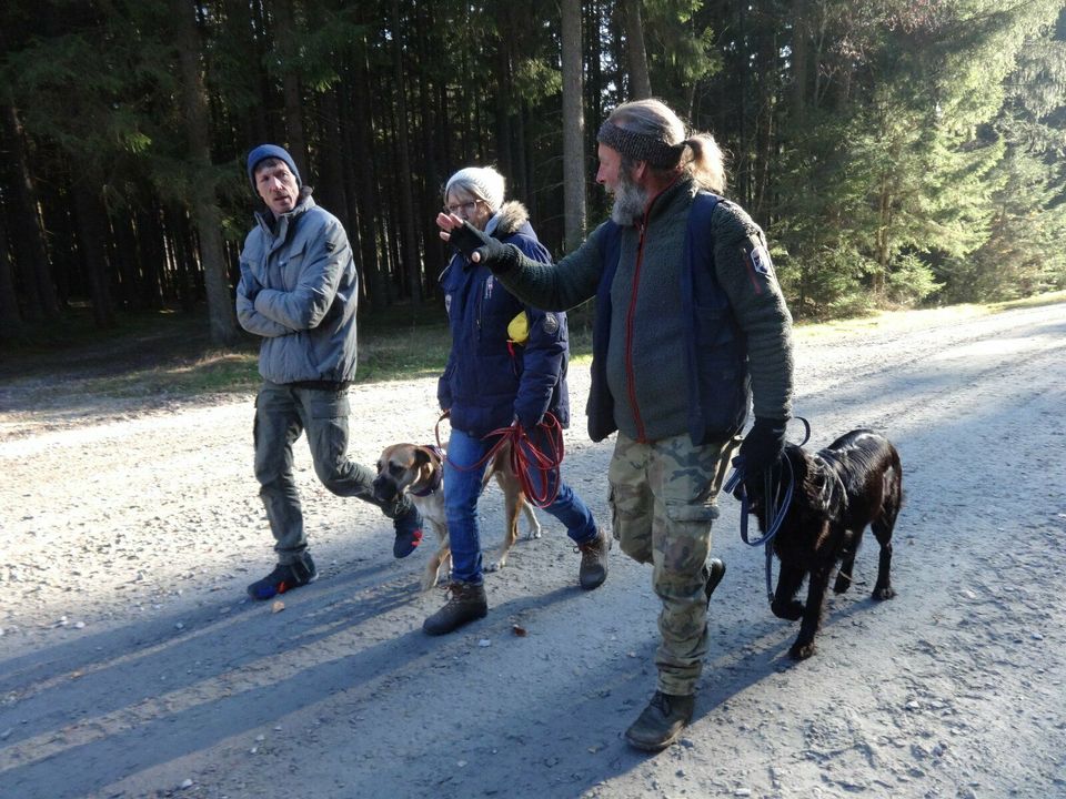 Leinenführigkeit, Hundetraining, Hundeerziehung, Rückruf in Haselbach b. Mitterfels