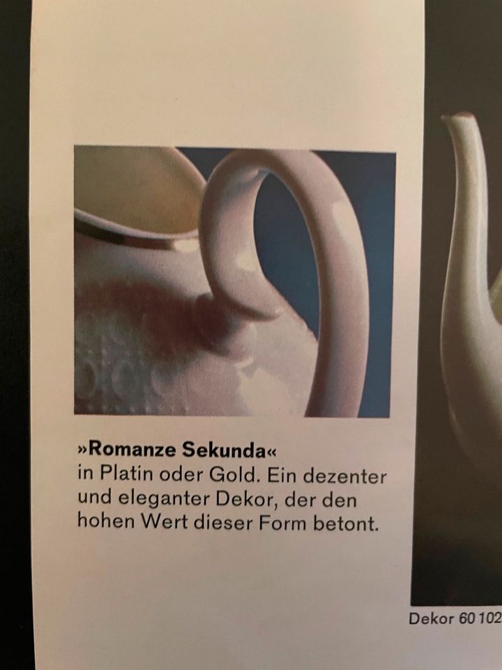 Rosenthal Romanze Secunda Platin in Bruchsal