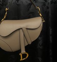 Dior Saddle Bag Mini Rheinland-Pfalz - Ludwigshafen Vorschau