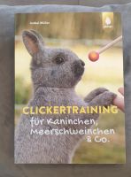 Clickertraining für Kaninchen, Meerschweinchen & Co. Hessen - Bad Sooden-Allendorf Vorschau