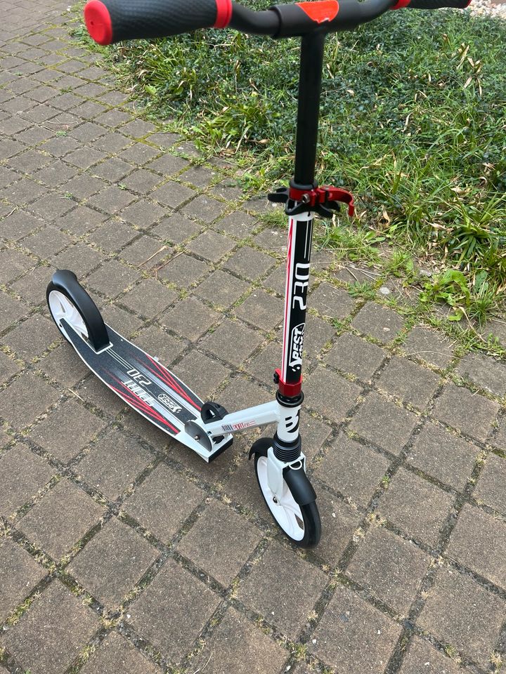 Best Sporting Roller 230 sehr gut neu in Berlin