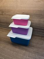 Tupperware Frische Ecke Set Brandenburg - Ortrand Vorschau