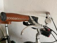 Townie Fahrrad Dammen/Herren Rheinland-Pfalz - Ludwigshafen Vorschau