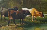 Kühe am Wasser Ölgemälde 54x34 - Gemälde - Ölbild Bayern - Kempten Vorschau