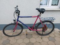 Herrenfahrrad pink/lila 26 Zoll Nordrhein-Westfalen - Dörentrup Vorschau