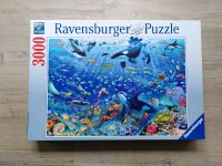 Ravensburger Puzzle - 3000 Teile - Bunter Unterwasserspaß Wandsbek - Hamburg Rahlstedt Vorschau