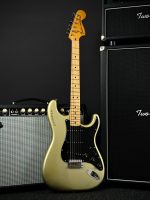 1979 Fender Stratocaster 25th Anniversary Silver Metallic Bayern - Kiefersfelden Vorschau