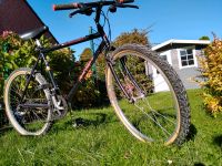 Specialized Rockhopper retro Münster (Westfalen) - Roxel Vorschau