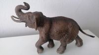 Schleich Elefant Dortmund - Brackel Vorschau