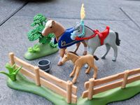 Playmobilset Pferdeweide Nordrhein-Westfalen - Waldfeucht Vorschau