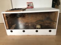 Terrarium Glas & Holz 50x100x50 Sachsen-Anhalt - Magdeburg Vorschau