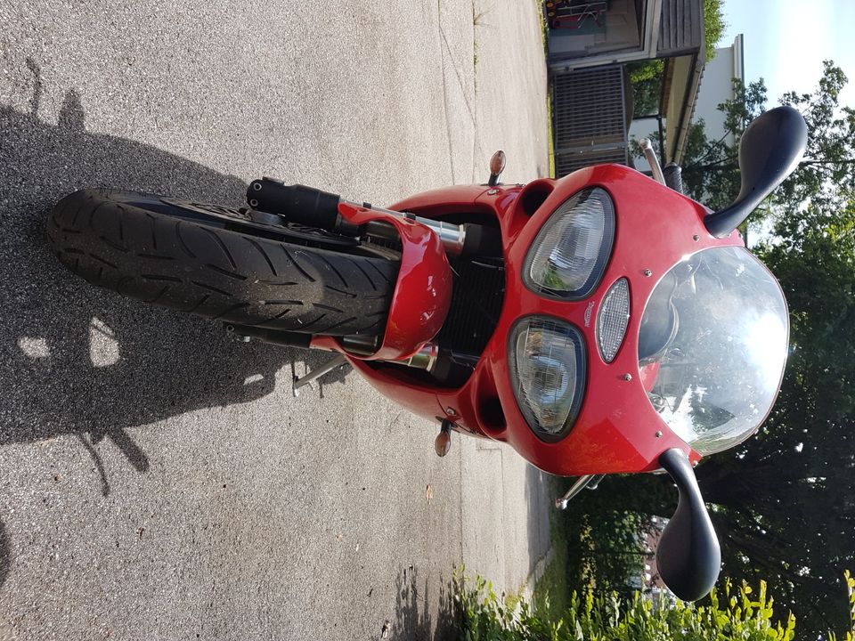 Triumph Daytona T595 in Geretsried