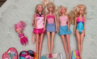 5 Barbie Puppen mit viel Zubehör Brandenburg - Werder (Havel) Vorschau