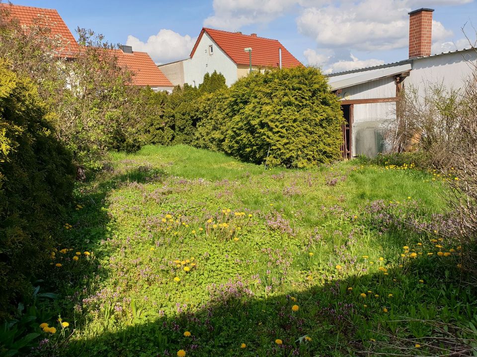 Haus mit Grundstück in Annaburg (sofort bewohnbar) -reserviert- in Annaburg
