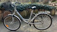 Damen Fahrrad Niedersachsen - Harsefeld Vorschau