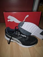 PUMA Sport Turn Hallen Schuhe Gr. 39 NEU Hessen - Heppenheim (Bergstraße) Vorschau