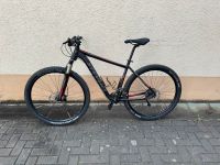 Stevens Mountainbike 29 Zoll Bayern - Bamberg Vorschau