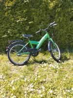 Fahrrad Göricke 20 Zoll Niedersachsen - Lachendorf Vorschau