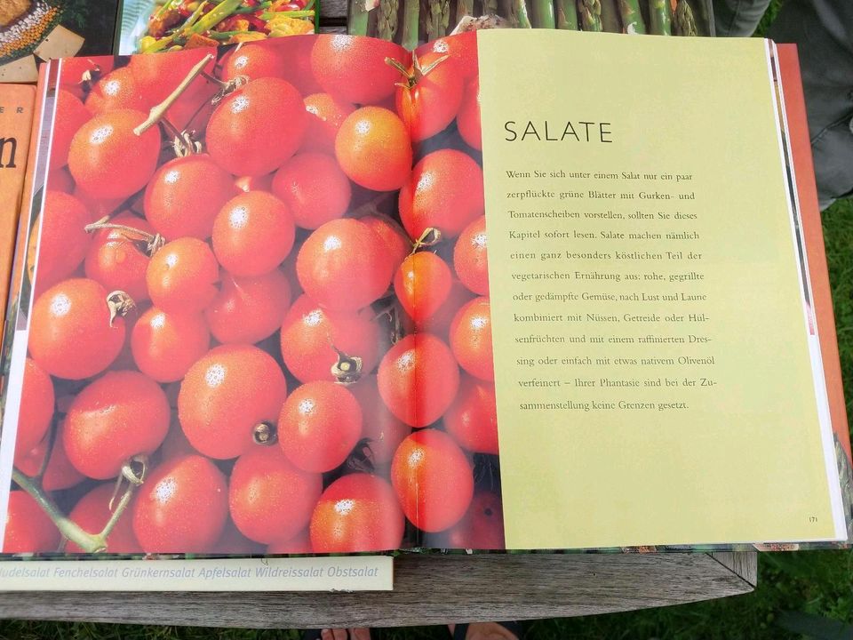 9 Kochbücher Vegetarisch + gesunde Trennkost Küche in Elsdorf