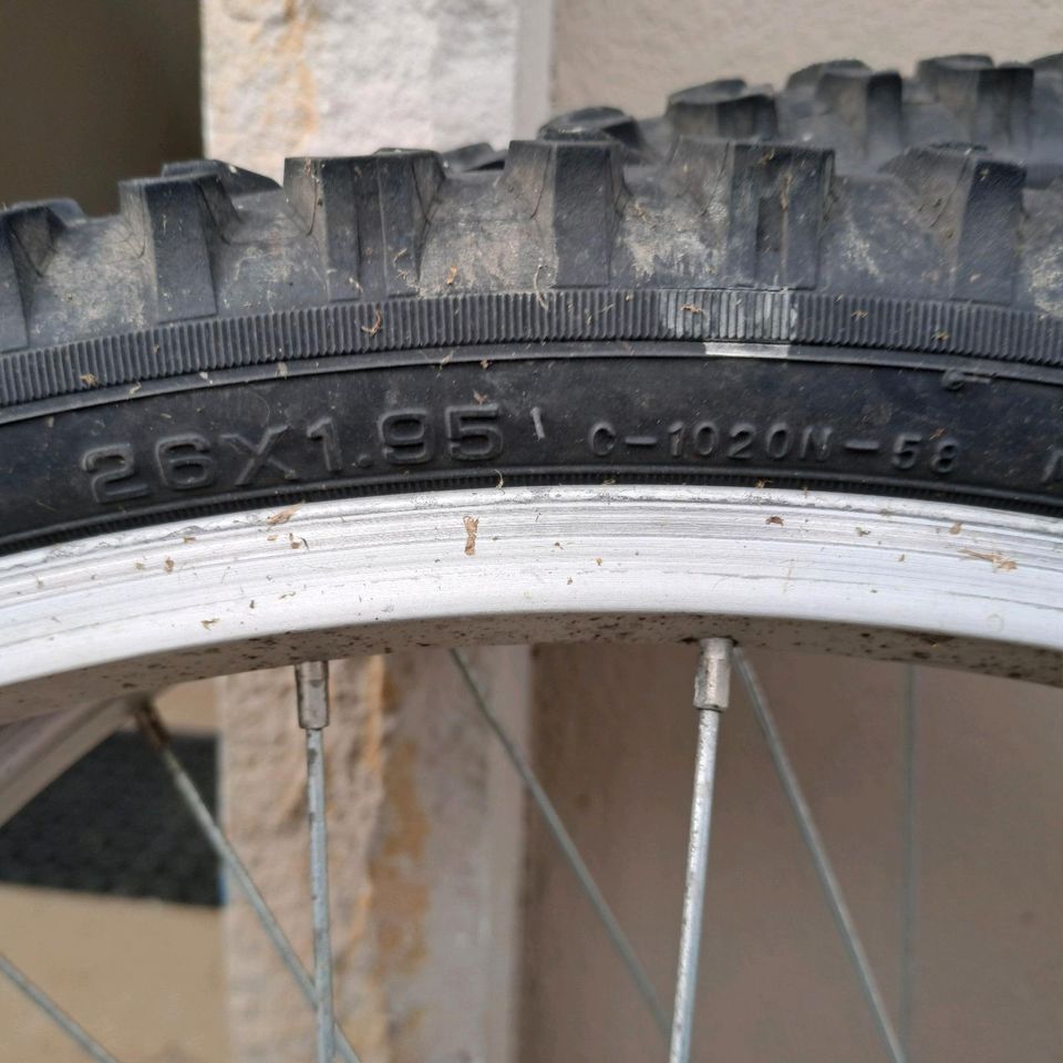 Fahrrad Reifen komplett mit Felgen in Rinteln