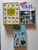 Natur Bücher Vögel und Pflanzen. Dortmund - Brechten Vorschau