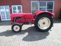 Porsche Traktor 329 Super Export Nordrhein-Westfalen - Emsdetten Vorschau