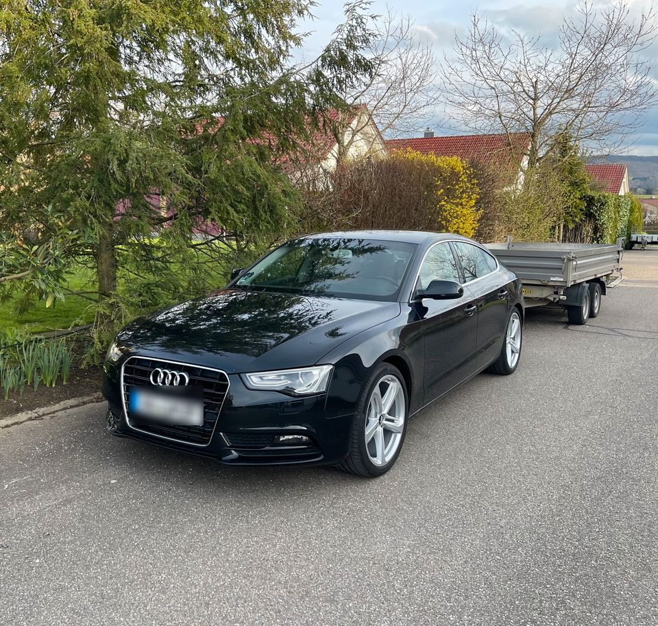 Audi A5 Sportback 2.0TDI | Leder | AHK | Carplay in Hüttlingen
