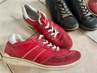 ECCO Gr.39 echtes Leder Damen Sneaker  Volleder Niedersachsen - Barsinghausen Vorschau