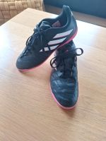 Adidas Copa Hallenschuhe,  Fussballschuhe,Turnschuhe Größe 38 Hessen - Nidda Vorschau